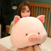 Creative Cute Bobo Pig Doll Plush Toy